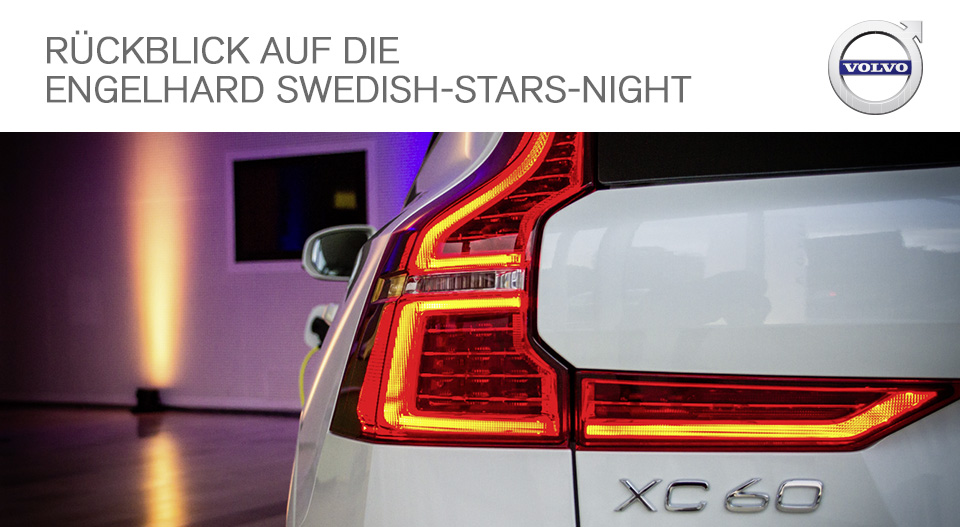 Engelhard Swedish-Stars-Night